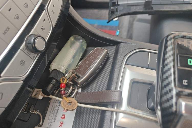 Used Great Wall Poer 2021 2.0T Off-Road Version Automatic Diesel 4x4 Mount Everest Edition GW4D20M Vehicle Key