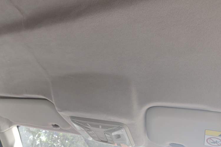 Used Great Wall Poer 2021 2.0T Cannon Edition GW4C20B Headliner