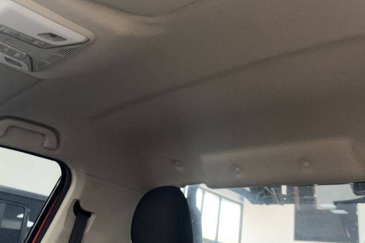 Used Great Wall Poer 2021 2.0T Cannon Edition GW4C20B Headliner
