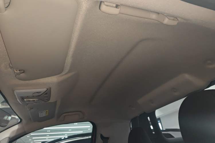 Used Great Wall Poer 2021 2.0T Cannon Edition GW4C20B Headliner