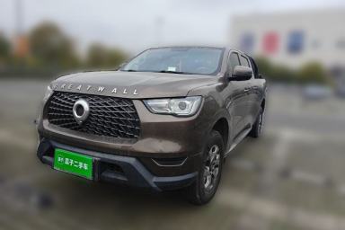 Used Great Wall Poer 2021 2.0T Commercial Version Manual Diesel Two-Wheel Drive Elite Long-Box GW4D20M