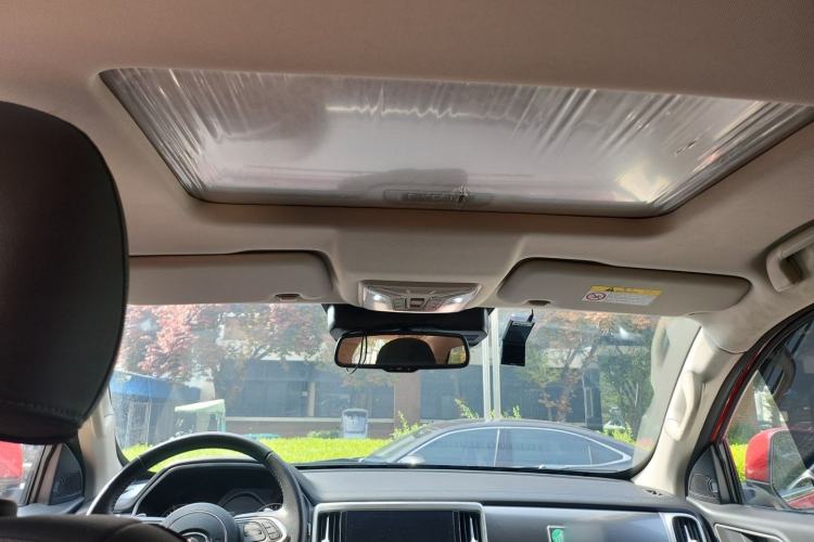Used Great Wall Poer 2021 2.0T Global Version Automatic Diesel 4x4 Comfort Trim Standard Box GW4D20M Headliner