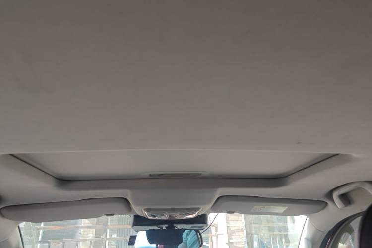 Used Great Wall Poer 2021 2.0T Global Version Automatic Gasoline 4x4 Comfort Trim Standard Cab GW4C20B Headliner