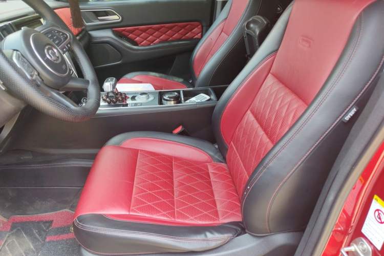 Used Great Wall Poer 2021 2.0T Off-Road Version Automatic Diesel 4x4 Mount Everest Edition GW4D20M Left Front Seat