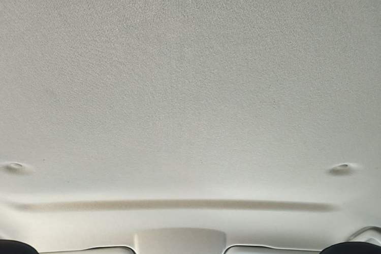 Used Great Wall Poer 2021 2.0T Commercial Version Automatic Diesel 4x4 Elite Long-Box GW4D20M Headliner