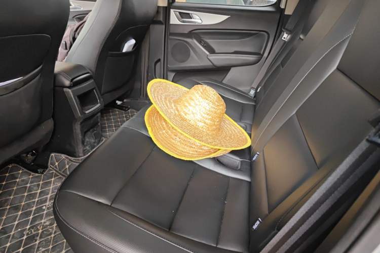 Used Great Wall Poer 2021 2.0T Commercial Version Automatic Diesel Two-Wheel Drive Elite Trim with Long Bed – GW4D20M Left Rear Seat