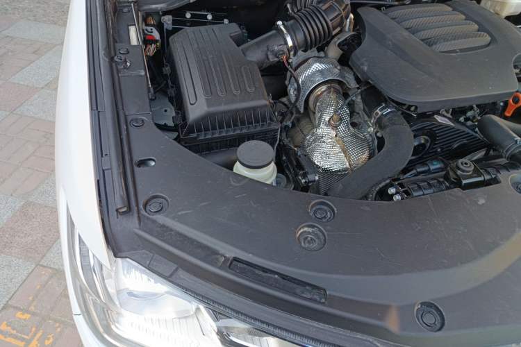 Used Great Wall Poer 2021 2.0T Commercial Version Manual Diesel Two-Wheel Drive Elite Long-Box GW4D20M Engine Bay Right