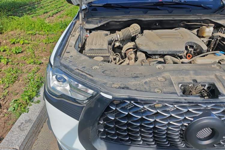 Used Great Wall Poer 2021 2.0T Commercial Version Automatic Diesel 4x4 Elite Long-Box GW4D20M Engine Bay Right