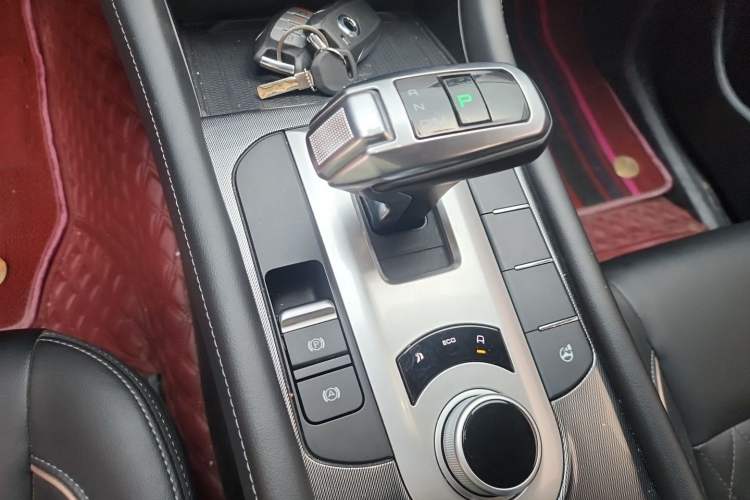 Used Great Wall Poer 2021 2.0T Global Version Passenger Car Automatic Gasoline Two-Wheel Drive Comfort Trim Standard Box – GW4C20B Gear Lever