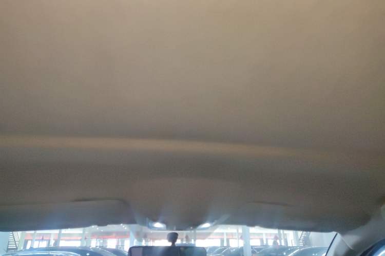 Used Great Wall Poer 2021 2.0T Commercial Version Automatic Gasoline 4x4 Elite Trim with Long Bed – GW4C20B Headliner