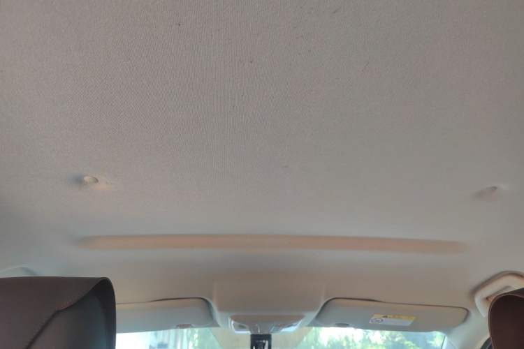 Used Great Wall Poer 2021 2.0T Commercial Version Automatic Diesel Two-Wheel Drive Elite Trim with Long Bed – GW4D20M Headliner