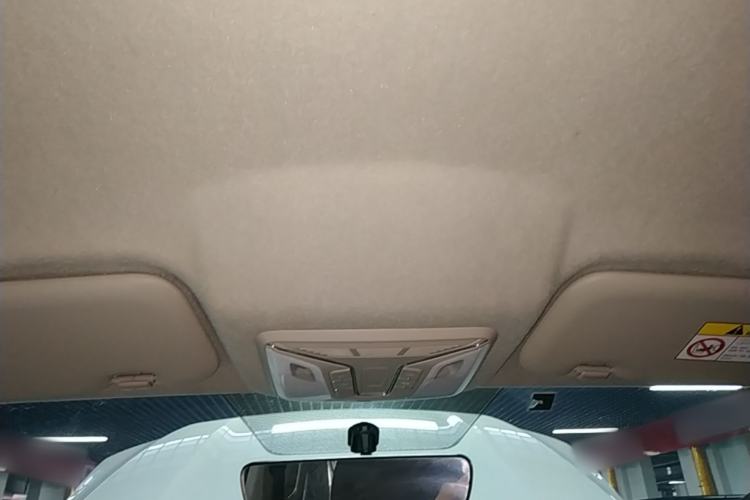 Used Great Wall Poer 2021 2.0T Commercial Version Automatic Diesel Two-Wheel Drive Elite Trim with Long Bed – GW4D20M Headliner