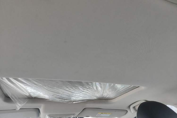 Used Great Wall Poer 2021 2.0T Commercial Version Automatic Diesel 4x4 Navigation-Type Standard Box GW4D20M Headliner