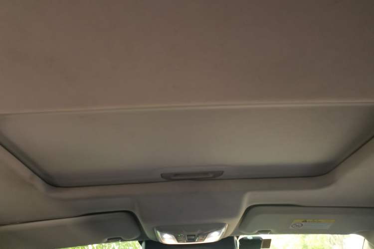 Used Great Wall Poer 2021 2.0T Global Version Automatic Diesel 4x4 Comfort Trim Standard Box GW4D20M Headliner