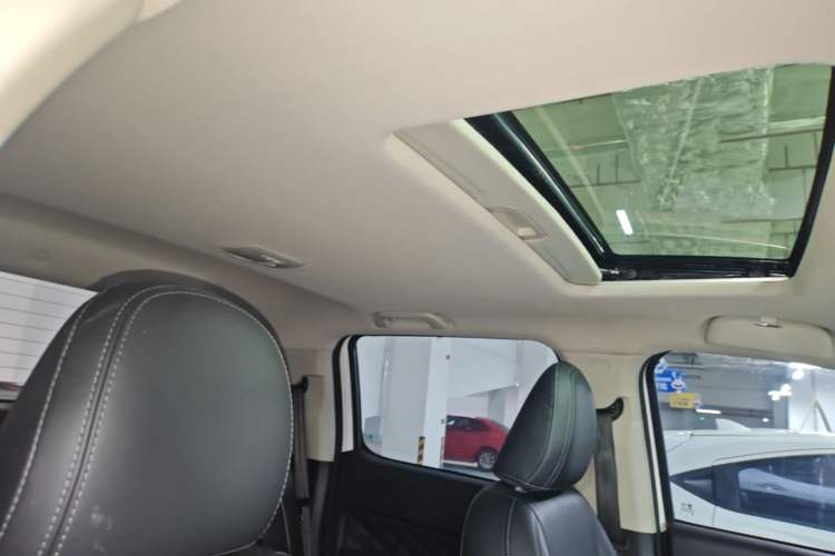 Used Great Wall Poer 2021 2.0T Global Version Automatic Gasoline 4x4 Comfort Trim Standard Cab GW4C20B Headliner