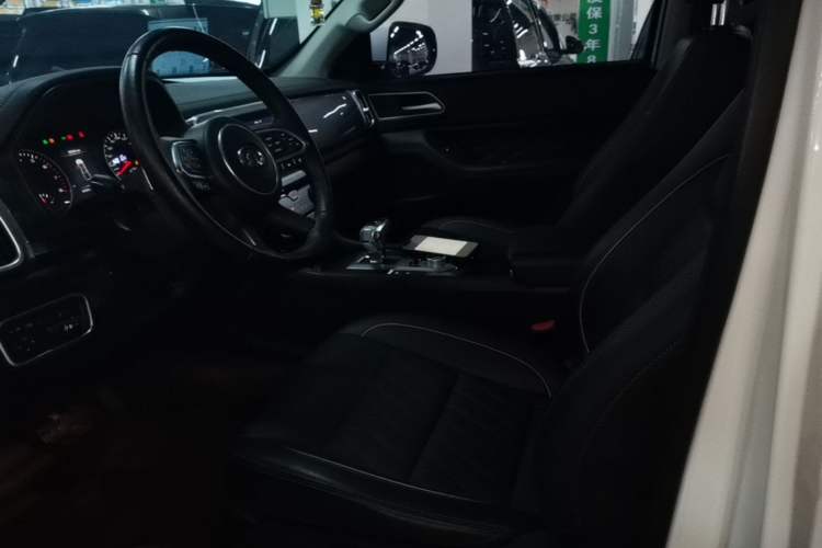 Used Great Wall Poer 2021 2.0T Global Version Passenger Car Automatic Gasoline Two-Wheel Drive Comfort Trim Standard Box – GW4C20B Left Front Seat