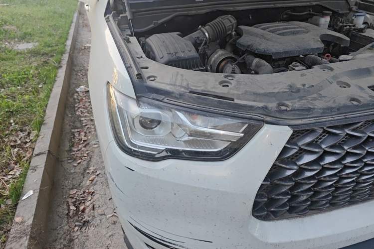 Used Great Wall Poer 2021 2.0T Commercial Version Automatic Diesel 4x4 Elite Long-Box GW4D20M Right Front Headlight