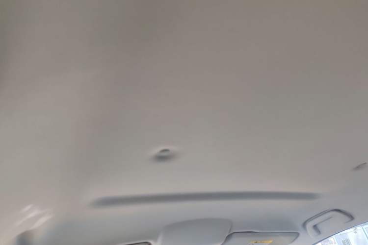 Used Great Wall Poer 2021 2.0T Commercial Version Automatic Diesel 4x4 Elite Long-Box GW4D20M Headliner