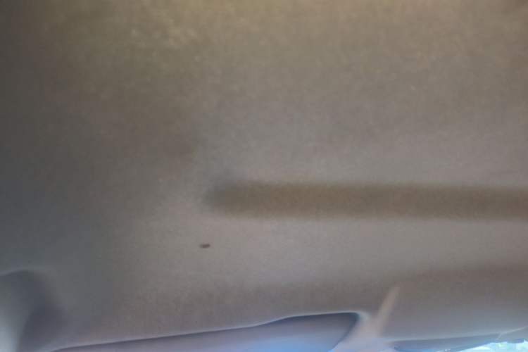 Used Great Wall Poer  Headliner