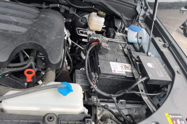 Used Great Wall Poer 2023 2.0T Commercial Version Automatic Diesel 4x4 Long Bed Business-Grade Model Engine Bay Left