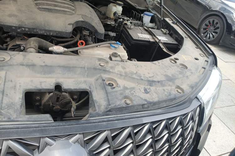 Used Great Wall Poer 2023 2.0T Commercial Version Automatic Diesel 4x4 Elite Long-Box GW4D20M Engine Bay Left