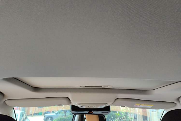 Used Great Wall Poer 2023 2.0T Luxury Automatic Gasoline 4x4 Version GW4C20B Headliner