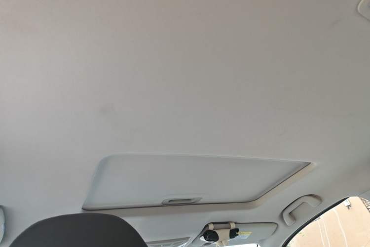 Used Great Wall Poer 2023 2.0T Passenger Version Automatic Gasoline Four-Wheel Drive Comfort Trim – GW4C20B Headliner