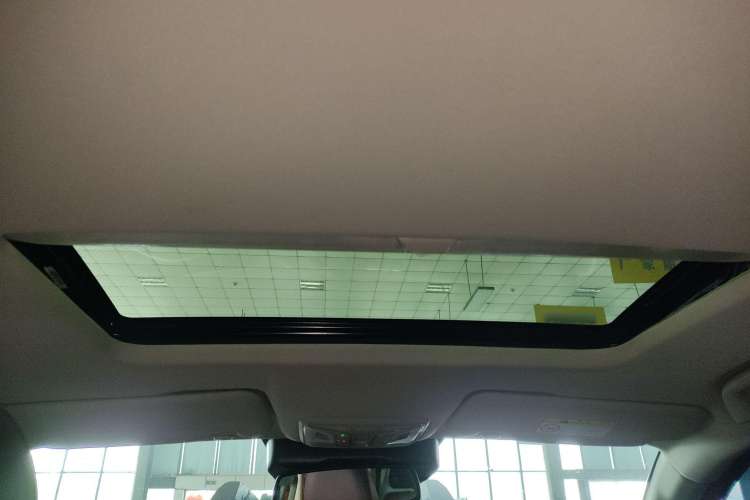 Used Great Wall Poer 2023 2.0T Dragon Bullet Edition Headliner