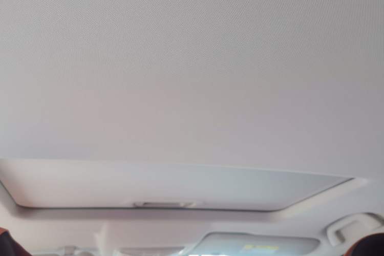 Used Great Wall Poer 2023 2.0T Luxury Automatic Gasoline 4x4 Version GW4C20B Headliner