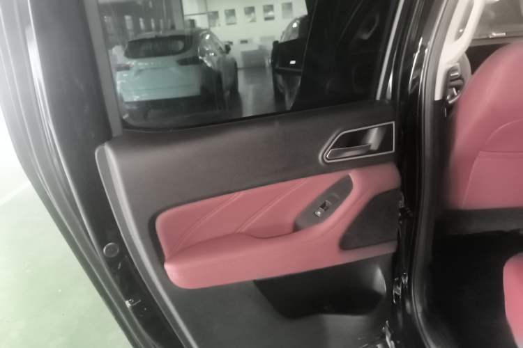 Used Great Wall Poer 2023 2.0T Off-Road Edition Automatic Gasoline Four-Wheel Drive – High-End Version Left Rear Door Interior