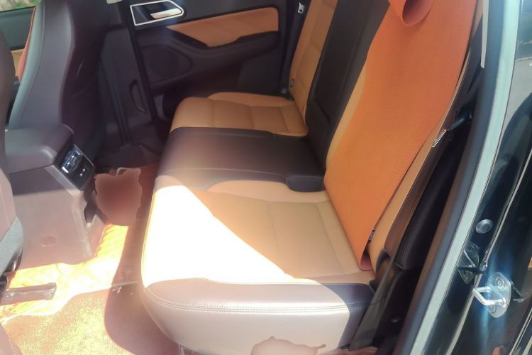 Used Great Wall Poer 2023 2.0T Luxury Automatic Gasoline 4x4 Version GW4C20B Left Rear Seat