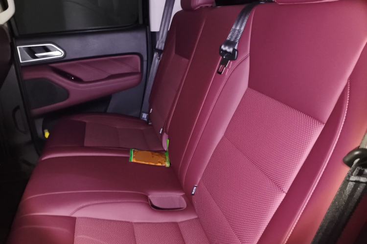 Used Great Wall Poer 2023 2.0T Dragon Bullet Edition Left Rear Seat