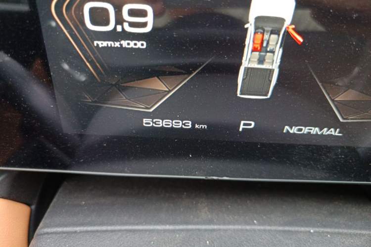Used Great Wall Poer 2023 2.0T Passenger Version Automatic Gasoline 4x4 Sporty GW4C20B Odometer Close Up