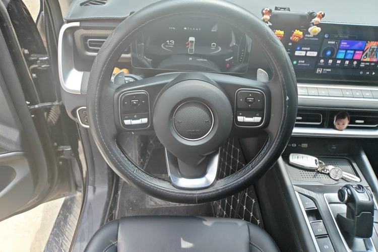 Used Great Wall Poer 2023 2.0T Passenger Version Automatic Gasoline Four-Wheel Drive Comfort Trim – GW4C20B Steering Wheel