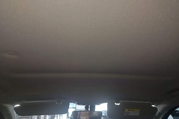 Used Great Wall Poer 2023 2.0T Commercial Version Automatic Diesel Two-Wheel Drive Elite Trim with Long Bed – GW4D20M Headliner