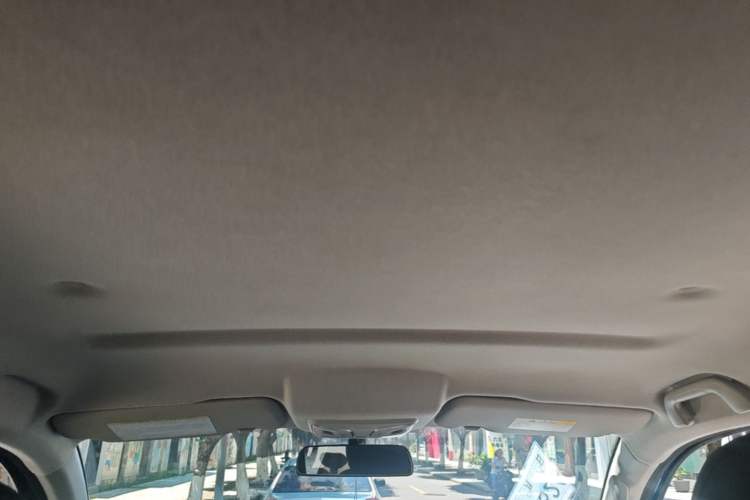 Used Great Wall Poer 2023 2.0T Commercial Version Automatic Diesel 4x4 Elite Long-Box GW4D20M Headliner