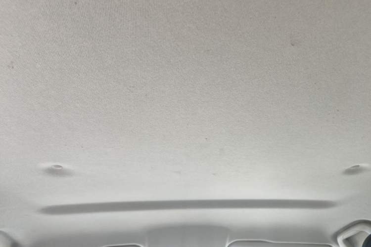 Used Great Wall Poer 2023 2.0T Commercial Version Automatic Diesel 4x4 Elite Long-Box GW4D20M Headliner
