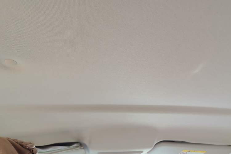 Used Great Wall Poer 2023 2.0T Commercial Version Automatic Diesel Two-Wheel Drive Elite Trim with Long Bed – GW4D20M Headliner