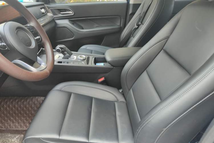Used Great Wall Poer 2023 2.0T Commercial Version Automatic Diesel 4x4 Elite Long-Box GW4D20M Left Front Seat