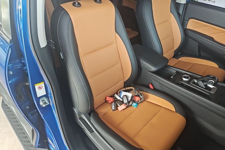 Used Great Wall Poer 2023 2.0T Passenger Version Automatic Gasoline 4x4 Sporty GW4C20B Right Front Seat
