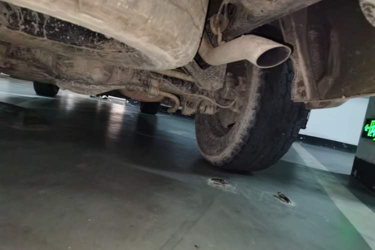 Used Great Wall Poer 2023 2.0T Off-Road Edition Automatic Diesel 4x4 Mount Everest Version Chassis Rear