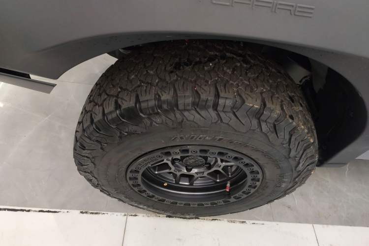 Used Great Wall Poer 2023 2.0T Firebolt Version GW4C20B Exterior 4