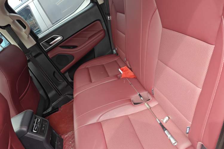 Used Great Wall Poer 2023 2.0T Off-Road Version Automatic Diesel Four-Wheel Drive High-End Edition Left Rear Seat