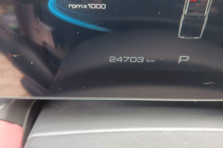 Used Great Wall Poer 2023 2.0T Off-Road Edition Automatic Gasoline 4x4 Mount Everest Version Odometer Close Up