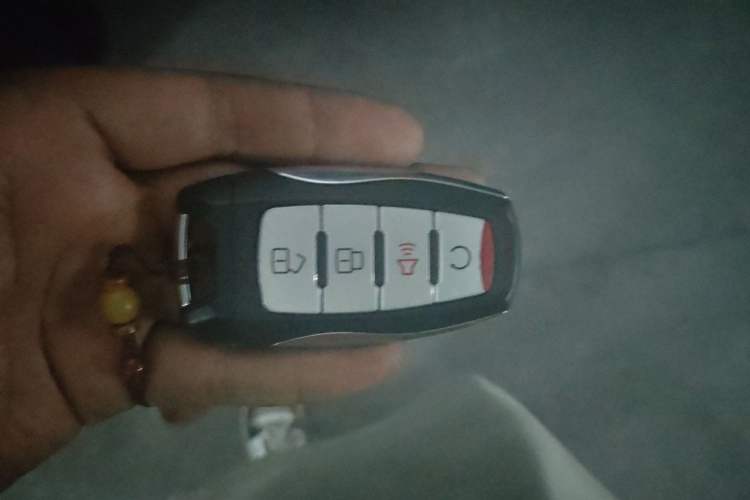 Used Great Wall Poer 2023 2.0T Off-Road Edition Automatic Gasoline 4x4 Mount Everest Version Vehicle Key