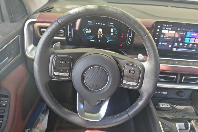 Used Great Wall Poer 2023 2.0T Off-Road Edition Automatic Gasoline 4x4 Mount Everest Version Steering Wheel