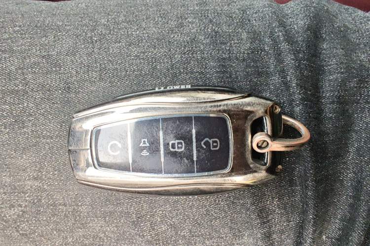 Used Great Wall Poer 2023 2.0T Firebolt Version GW4C20B Vehicle Key