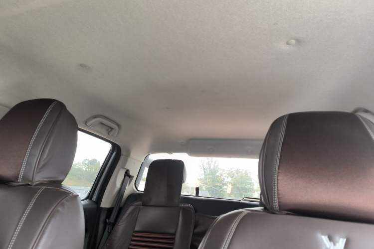 Used Great Wall Poer 2023 2.0T Commercial Version Automatic Diesel Two-Wheel Drive Elite Trim with Long Bed – GW4D20M Headliner