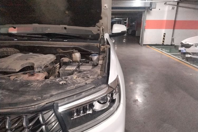 Used Great Wall Poer 2023 2.0T Commercial Version Automatic Diesel 4x4 Elite Long-Box GW4D20M Engine Bay Left