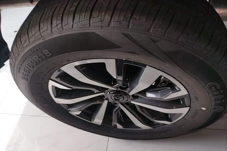 Used Great Wall Poer 2024 2.4T Passenger Version Automatic Diesel Two-Wheel Drive Comfort Edition Exterior 5